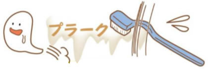 足立区綾瀬の歯医者　新井歯科医院　実は奥が深かった！歯磨きの基本