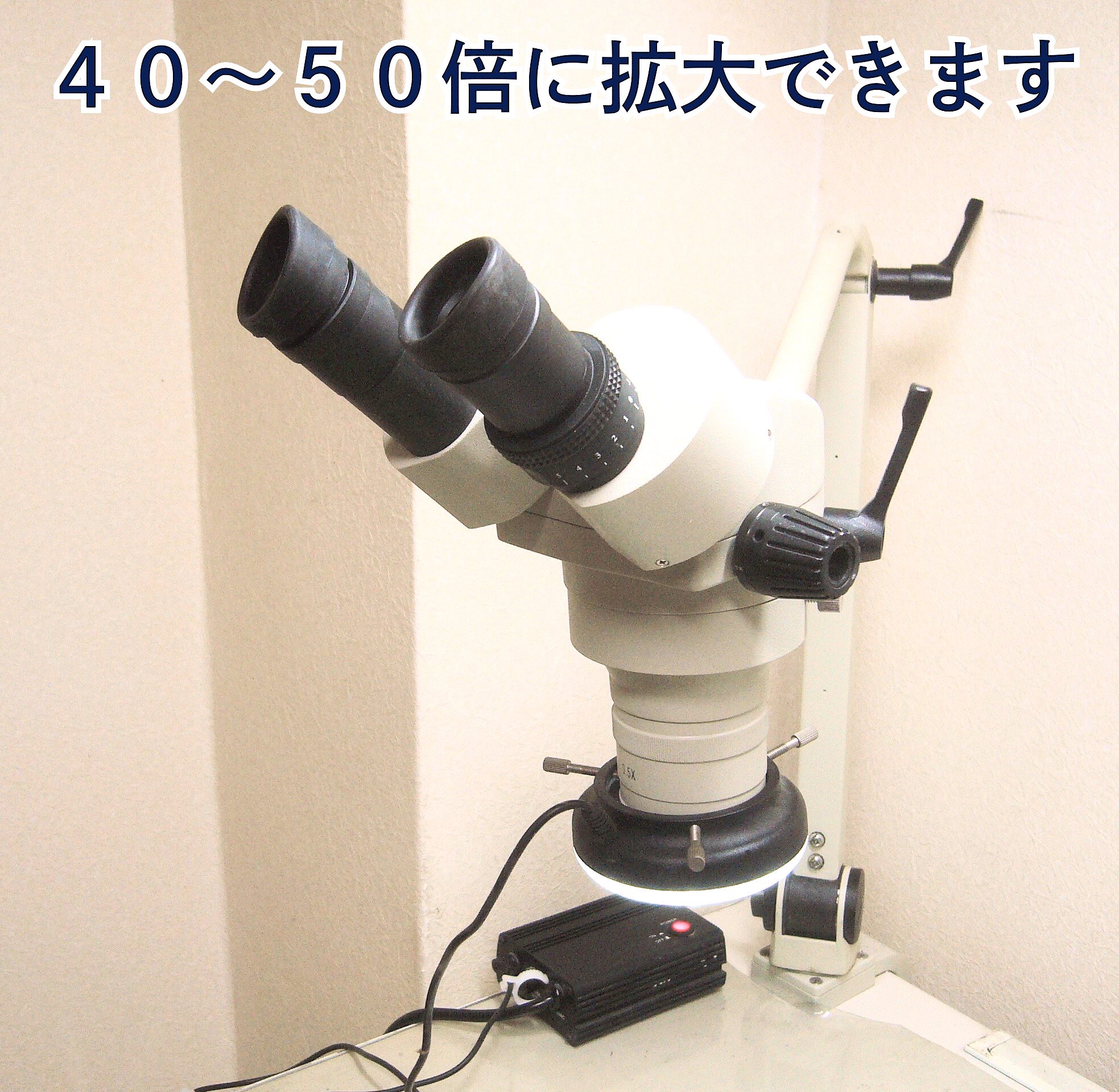 綾瀬の歯医者、新井歯科医院の精度を重視した詰め物や被せ物