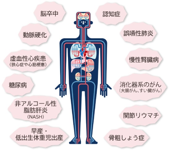 綾瀬の歯医者、新井歯科医院の予防歯科
