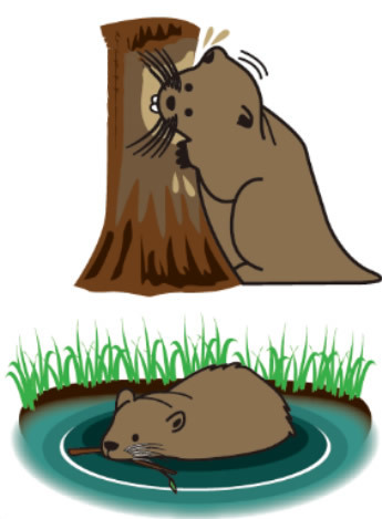 綾瀬の歯医者、新井歯科医院は、綾瀬駅徒歩5分