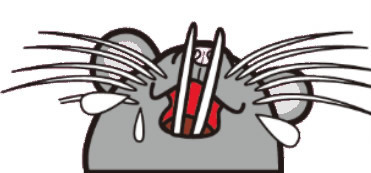 綾瀬の歯医者、新井歯科医院は、綾瀬駅徒歩5分